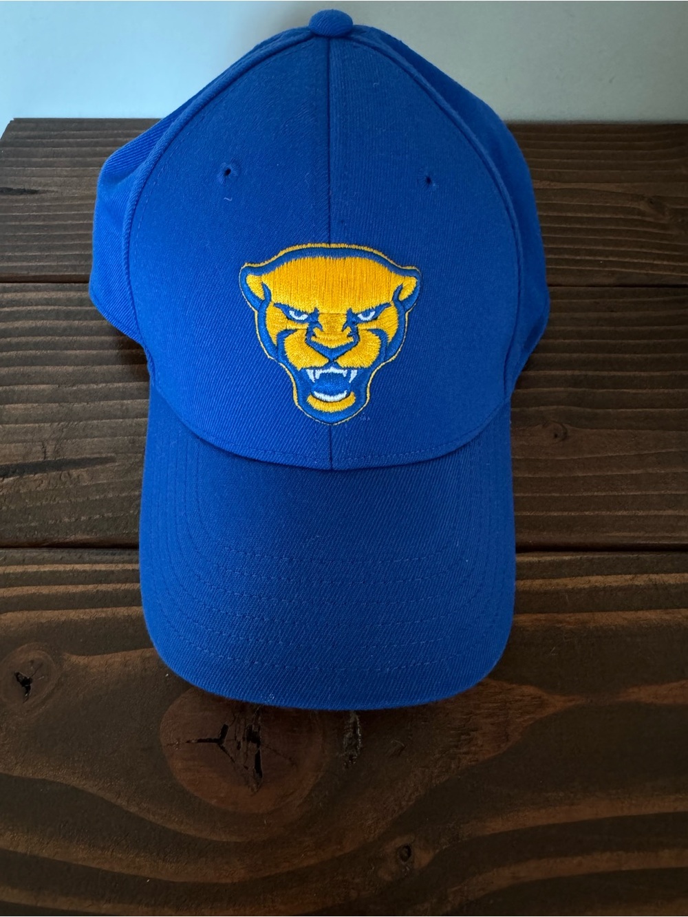 NWOT - Pittsburgh Panthers Hat